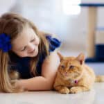 Importance of Indoor Air Quality