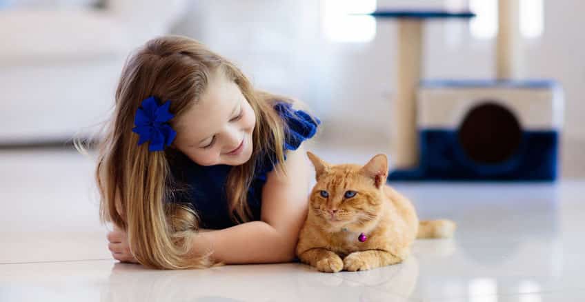 Importance of Indoor Air Quality