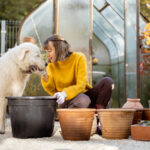 Best Pet Friendly Plants