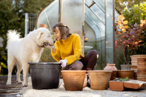 Best Pet Friendly Plants